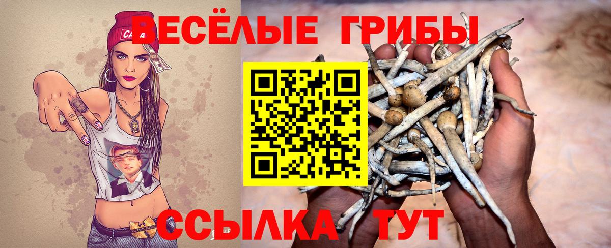 Галлюциногенные грибы Psilocybine cubensis  Вход с VPN  Новочебоксарск 